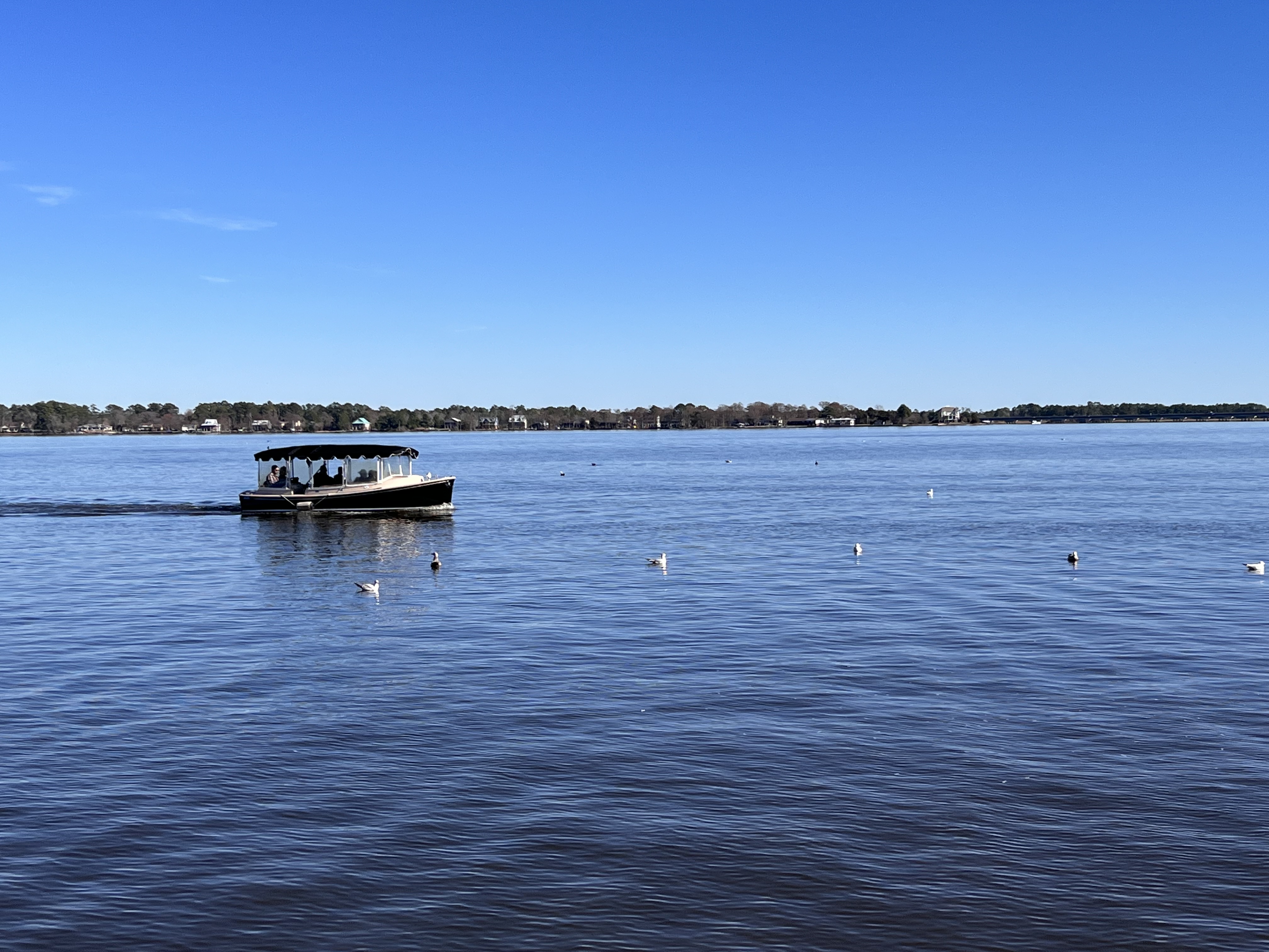 ./2023/01 - New Bern/IMG_6050.JPG